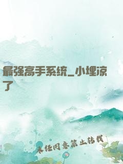 最强高手系统