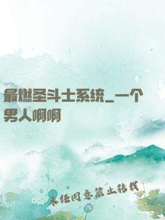 最燃圣斗士系统