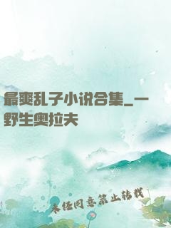 最爽乱子小说合集