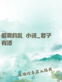 最爽的乱惀小说