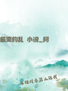 最爽的乱惀小说