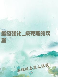 最终强化