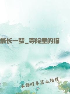 最长一梦