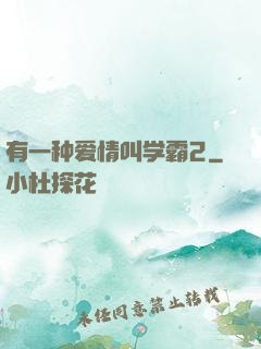 有一种爱情叫学霸2