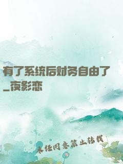 有了系统后财务自由了