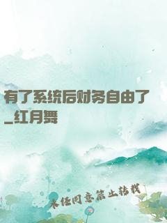 有了系统后财务自由了