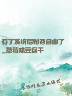 有了系统后财务自由了