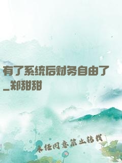 有了系统后财务自由了