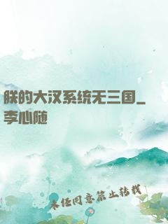 朕的大汉系统无三国