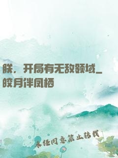 朕，开局有无敌领域