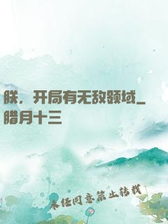 朕，开局有无敌领域