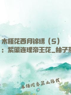 木槿花西月锦绣（5）：紫蕖连理帝王花
