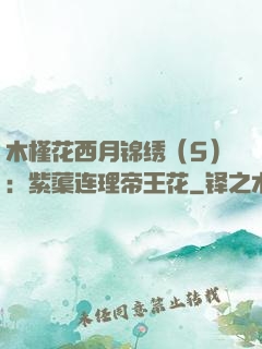 木槿花西月锦绣（5）：紫蕖连理帝王花