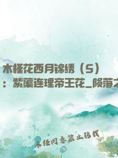 木槿花西月锦绣（5）：紫蕖连理帝王花