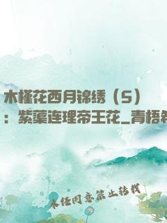 木槿花西月锦绣（5）：紫蕖连理帝王花