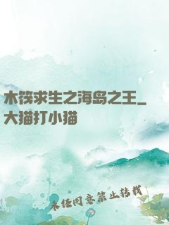 木筏求生之海岛之王