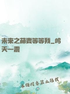 未来之萌妻等等我