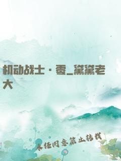 机动战士·零