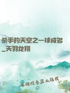 杀手的天空之一球成名