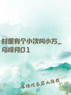 村里有个小伙叫小方