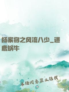 杨家将之风流八少