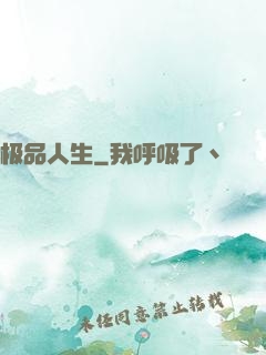 极品人生