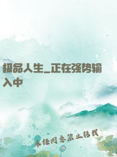 极品人生