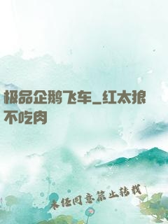 极品企鹅飞车