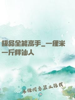 极品全能高手