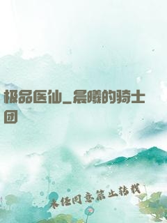 极品医仙
