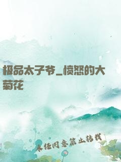 极品太子爷