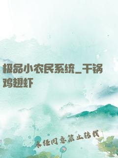 极品小农民系统