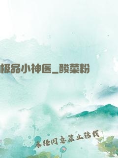 极品小神医
