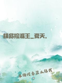极品捡漏王