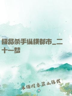 极品杀手纵横都市