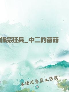 极品狂兵