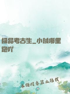 极品考古生