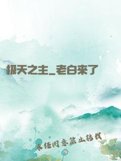 极天之主