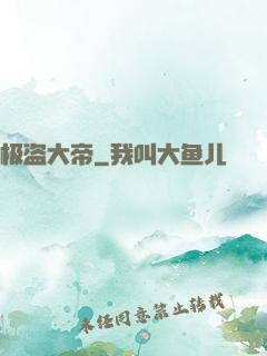 极盗大帝