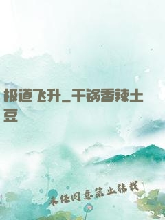 极道飞升