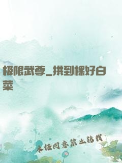 极限武尊