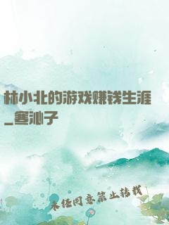 林小北的游戏赚钱生涯