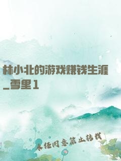 林小北的游戏赚钱生涯
