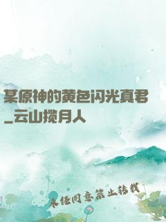 某原神的黄色闪光真君