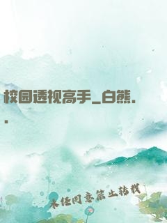 校园透视高手