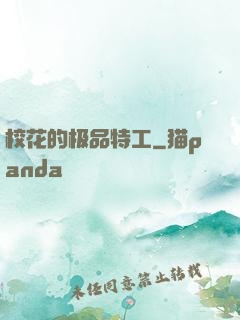 校花的极品特工