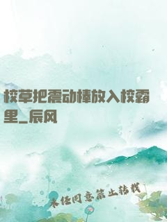 校草把震动棒放入校霸里