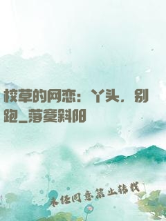 校草的网恋：丫头，别跑