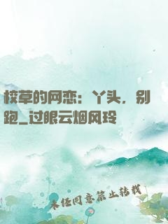 校草的网恋：丫头，别跑