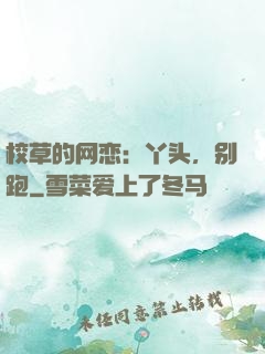 校草的网恋：丫头，别跑